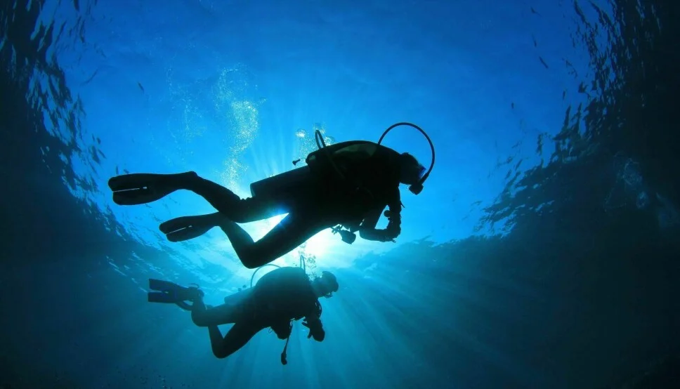 Equipo de buzos profesionales trabajando en una estructura submarina.