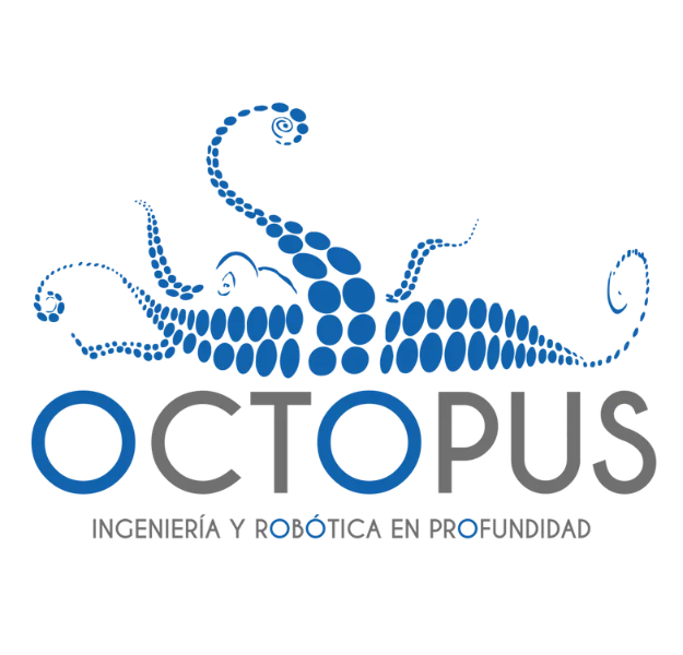 Buzo profesional en una operación submarina