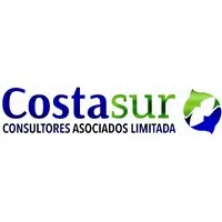 Logo de Costasur Limitada, cliente de servicios submarinos de Octopus SPA.